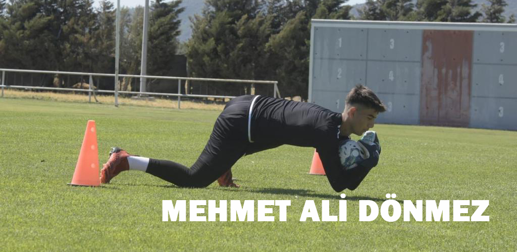 Mehmet Ali Dönmez